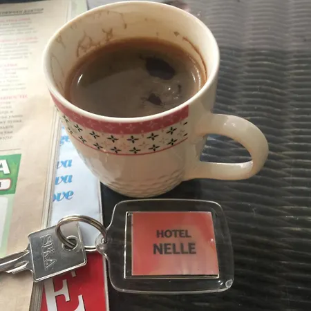 Aparthotel Nelle Paralia Katerinis
